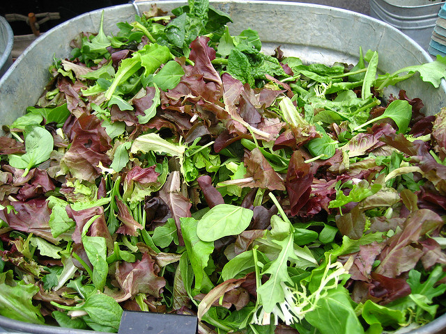 leafy greens and lettuce negative calorie foods