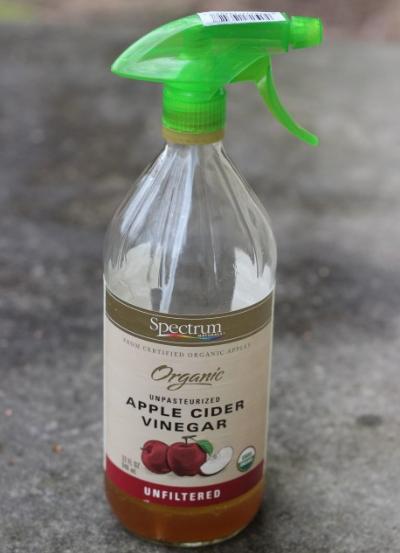 Apple Cider Vinegar Air Freshener
