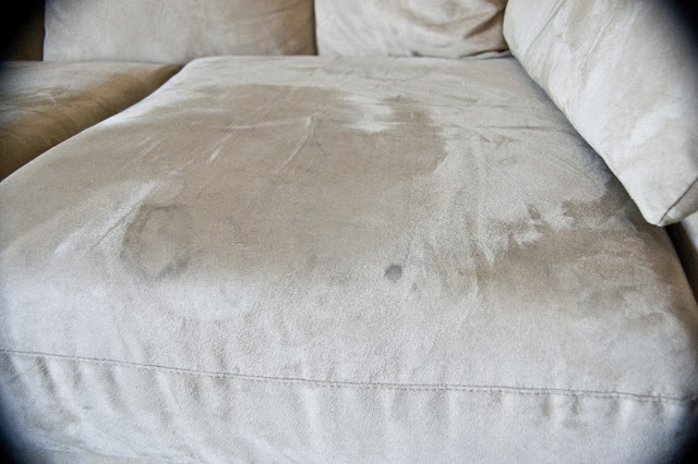apple cider vinegar couch stain cleaner