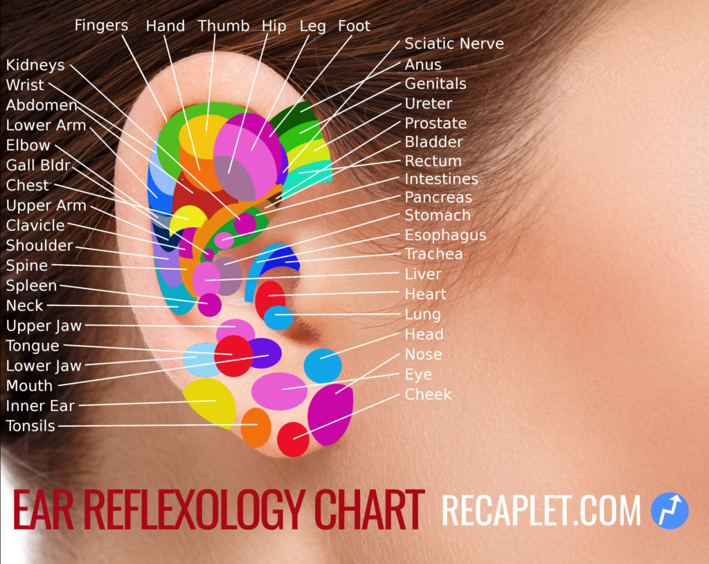 Ear Chart After 1 Inch